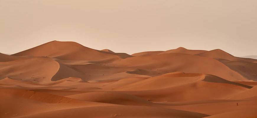 Why Go For a Desert Safari in Abu Dhabi?